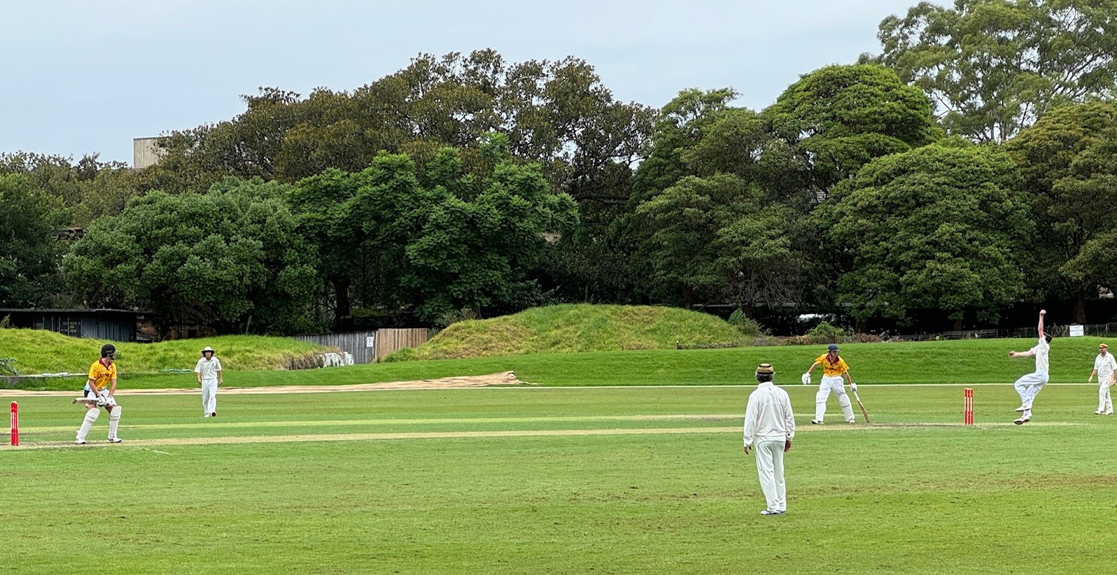 Rawson Cup Cricket Starts Well